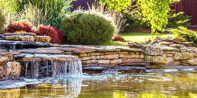 A few tips on how to keep your garden pond clean and clear. Have you heard of bacteria? They work great!!!