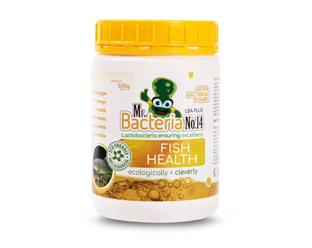 Lactobacteria to help maintain healthy Fish - 500g